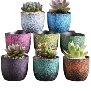 Indoor Ceramic Pots | Set Of 6